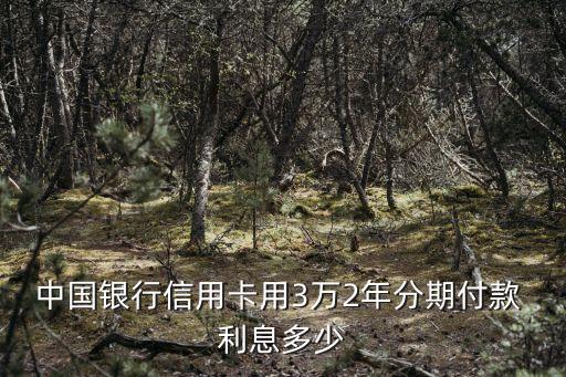 3萬借2年利息多少,2020年30萬利息多少
