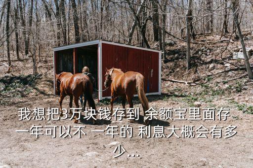 我想把3萬(wàn)塊錢(qián)存到 余額寶里面存 一年可以不 一年的 利息大概會(huì)有多少...