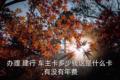 辦理 建行 車主卡多少錢這是什么卡,有沒有年費(fèi)