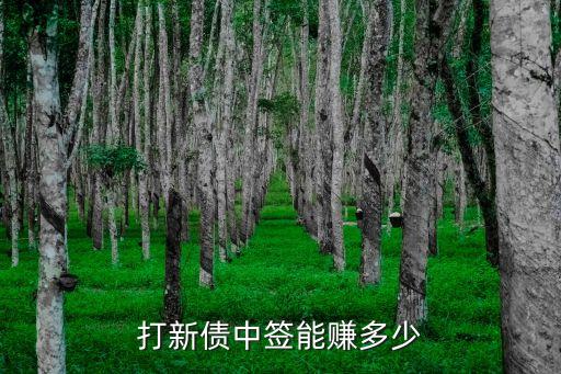 招行安心債2000賺多少錢