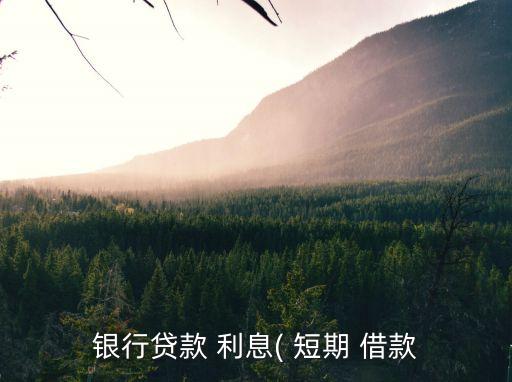 短期借款利息是多少,計(jì)提本月短期借款利息