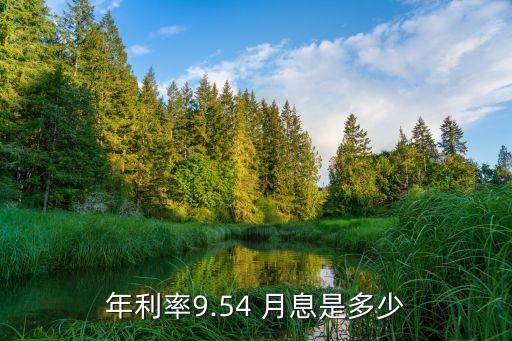 年利率9.54 月息是多少