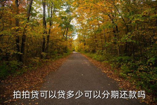  拍拍貸可以貸多少可以分期還款嗎