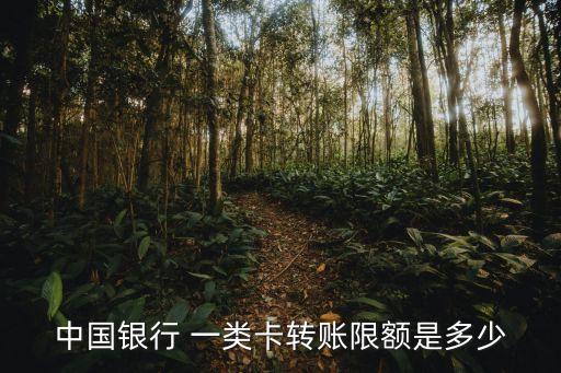 一類卡每天能轉(zhuǎn)多少錢,銀行一類卡每天能轉(zhuǎn)多少錢