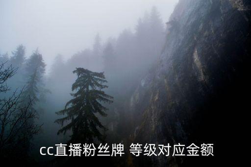 cc財富等級需要充多少錢,cc直播財富等級20是充了多少