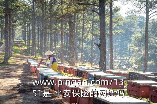平安保險網(wǎng)站多少,溫州平安保險電話是多少