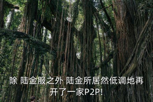 除 陸金服之外 陸金所居然低調(diào)地再開(kāi)了一家P2P!