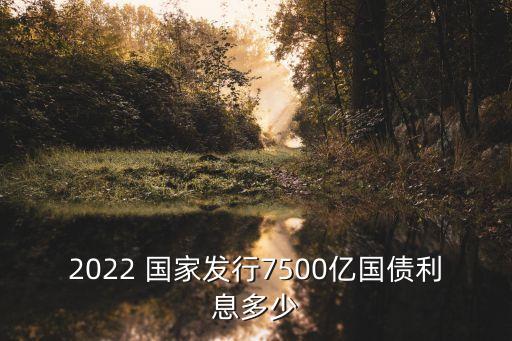 2022 國(guó)家發(fā)行7500億國(guó)債利息多少