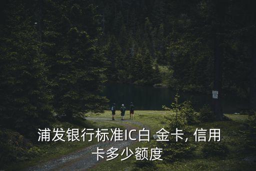  浦發(fā)銀行標(biāo)準(zhǔn)IC白 金卡, 信用卡多少額度