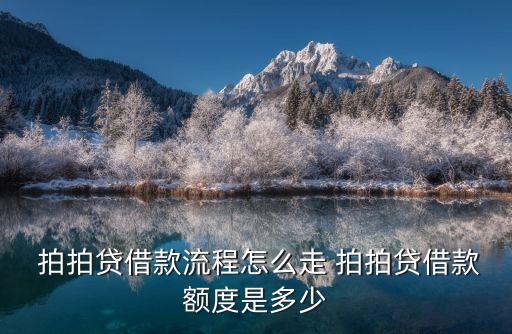  拍拍貸借款流程怎么走 拍拍貸借款額度是多少