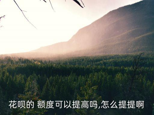 花唄的 額度可以提高嗎,怎么提提啊