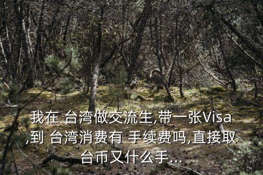 去臺(tái)灣銀行取錢手續(xù)費(fèi)是多少