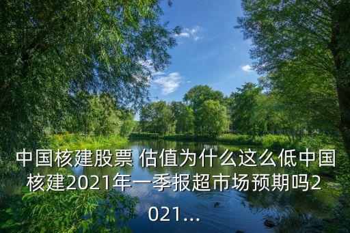 中國核電估值多少,中國軟件估值多少
