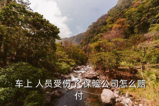 車上人員責(zé)任險(xiǎn)賠多少錢