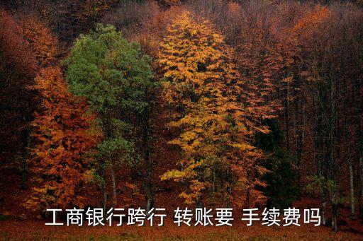  工商銀行跨行 轉(zhuǎn)賬要 手續(xù)費(fèi)嗎