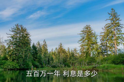 五百萬一年 利息是多少