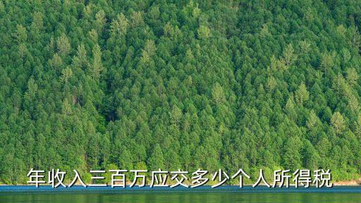 年收入三百萬應(yīng)交多少個(gè)人所得稅