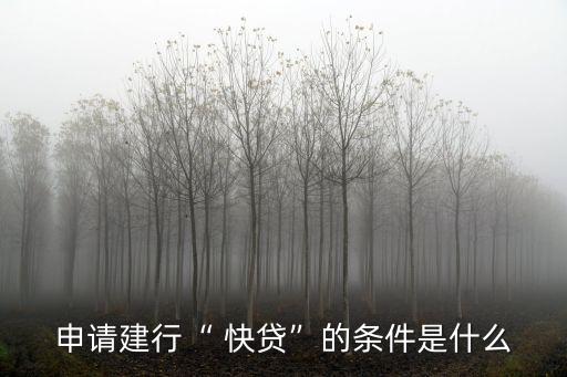 快貸的額度一般是多少