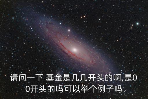 基金銷售人代碼是多少