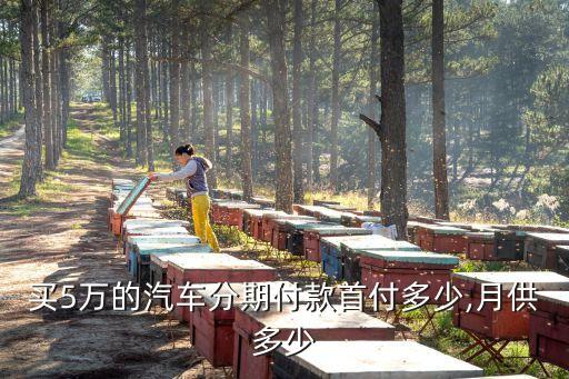 按揭一輛車(chē)月供多少,按揭買(mǎi)了一輛車(chē),還可以買(mǎi)第二輛嗎