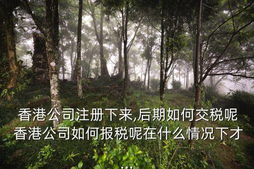  香港公司注冊(cè)下來(lái),后期如何交稅呢 香港公司如何報(bào)稅呢在什么情況下才...