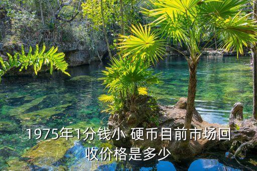 一分錢的硬幣能換多少錢,2007年一分錢硬幣價格多少