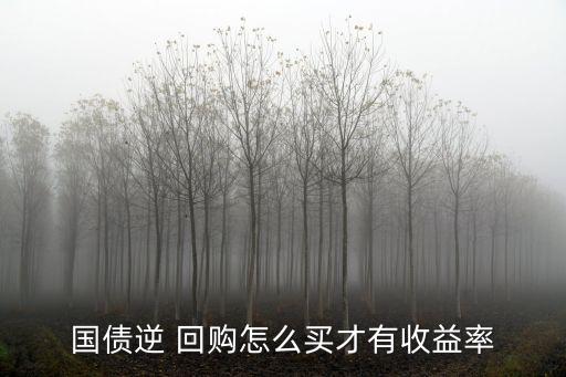 國債逆 回購怎么買才有收益率