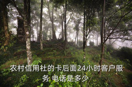 上海內(nèi)蒙古農(nóng)村銀行客服電話是多少啊,內(nèi)蒙古銀行客服電話95588