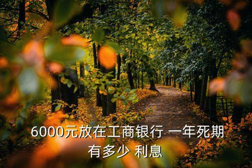  6000元放在工商銀行 一年死期有多少 利息