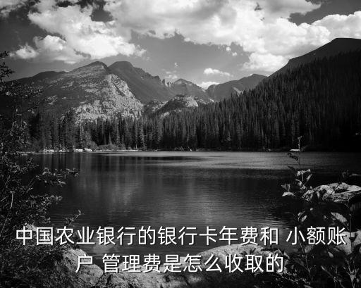 農(nóng)行的小額管理費是多少錢,農(nóng)行小額賬號管理費怎么取消