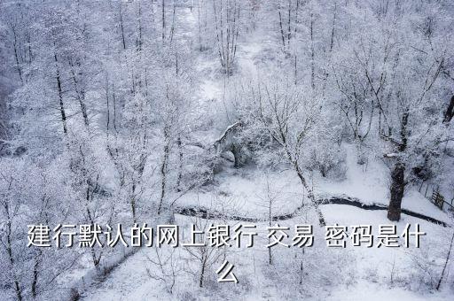 初始交易密碼是多少,國信證券初始交易密碼