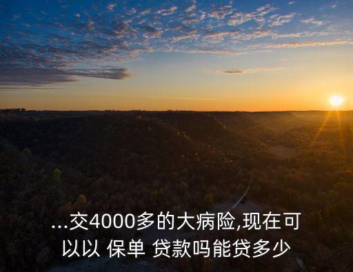 太平洋保單可以貸款多少錢(qián)