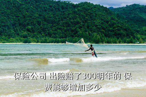 保險(xiǎn)公司 出險(xiǎn)賠了300明年的 保費(fèi)能夠增加多少