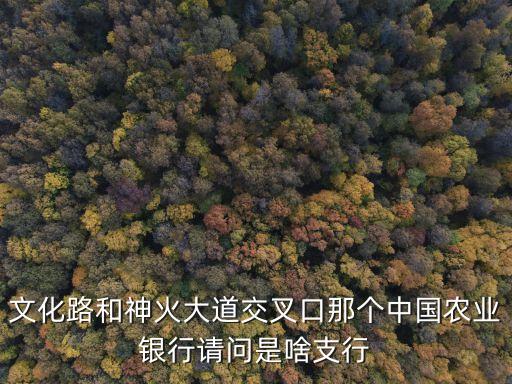 文化路和神火大道交叉口那個(gè)中國(guó)農(nóng)業(yè)銀行請(qǐng)問(wèn)是啥支行