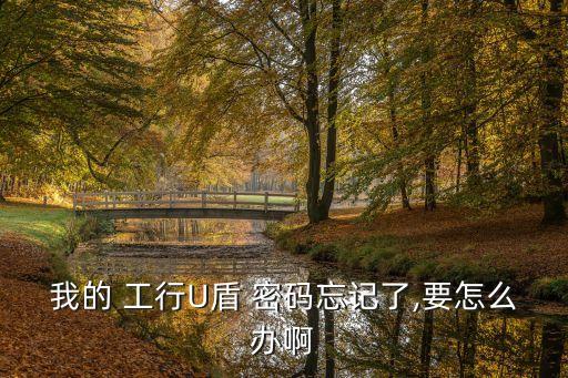 工行u盾密碼是多少,工行企業(yè)網(wǎng)銀u盾密碼怎么修改