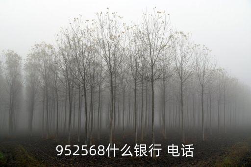 952568什么銀行 電話