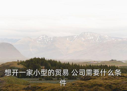 想開一家小型的貿(mào)易 公司需要什么條件