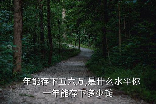  一年能存下五六萬,是什么水平你 一年能存下多少錢