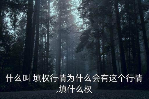 填權(quán)股票會(huì)漲多少,填權(quán)一般能漲多少