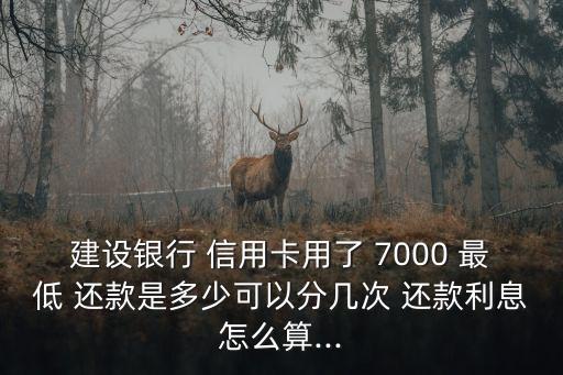 建設銀行 信用卡用了 7000 最低 還款是多少可以分幾次 還款利息怎么算...