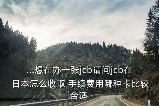 日本刷卡手續(xù)費多少,visa在日本刷卡手續(xù)費
