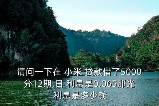 小米金融貸款一天利息多少錢(qián),小米貸款和京東金融哪個(gè)利息低