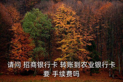 招商給農(nóng)行轉(zhuǎn)賬手續(xù)費(fèi)是多少錢,農(nóng)行卡往招商銀行卡上轉(zhuǎn)賬要手續(xù)費(fèi)嗎