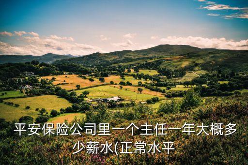 平安的團隊長工資多少,平安客服工資多少錢一個月