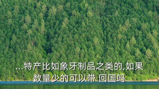 非洲帶多少原石回國算犯法