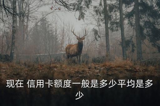 信用金額度是多少錢(qián),企業(yè)信用貸額度一般多少