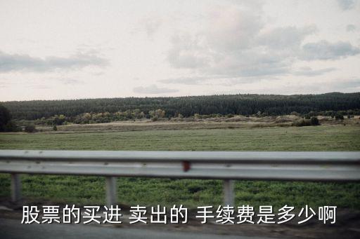股票的買進 賣出的 手續(xù)費是多少啊