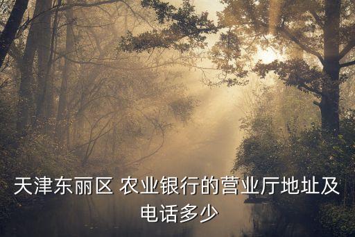 市橋農(nóng)業(yè)銀行支行電話是多少錢,農(nóng)業(yè)銀行筧橋支行電話