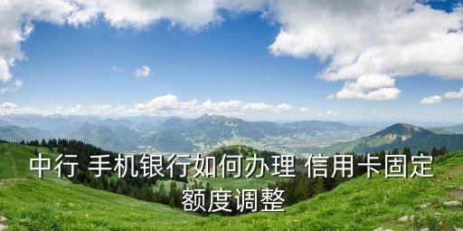 手機怎么申請辦信用卡額度是多少,手機線上申請辦信用卡有危險嗎