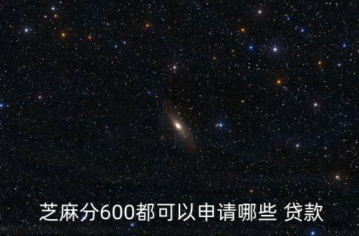 芝麻分600都可以申請哪些 貸款